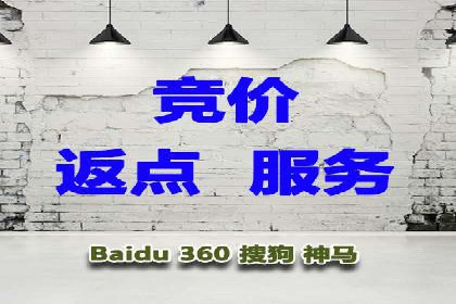 案例分析：SEM广告助力中小企业崛起